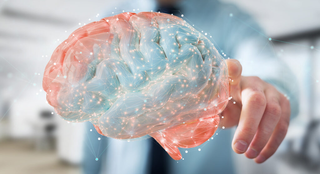 Businessman using digital 3d projection of a human brain 3d rend