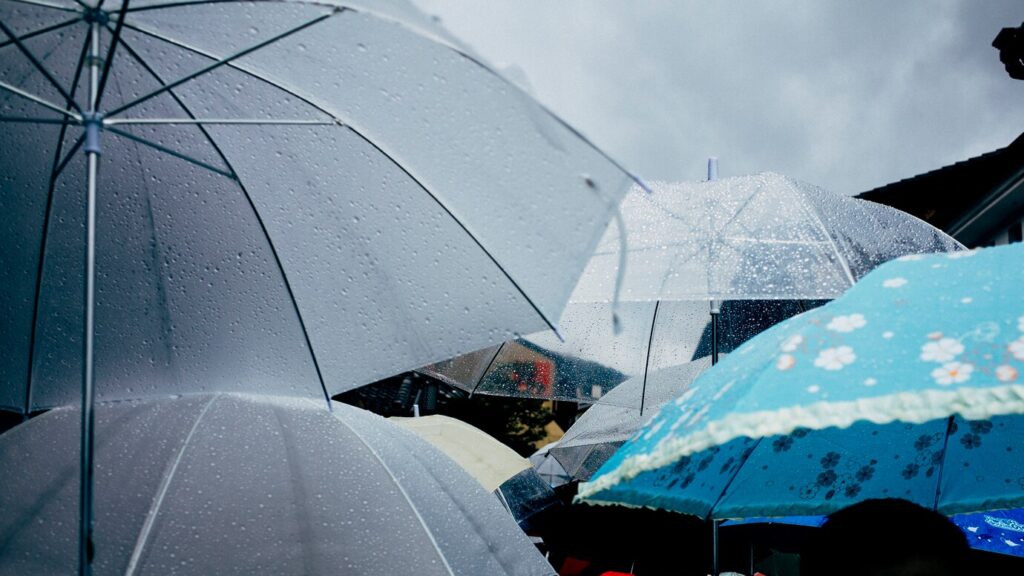 Rainy day umbrella 1150 12616 (1)