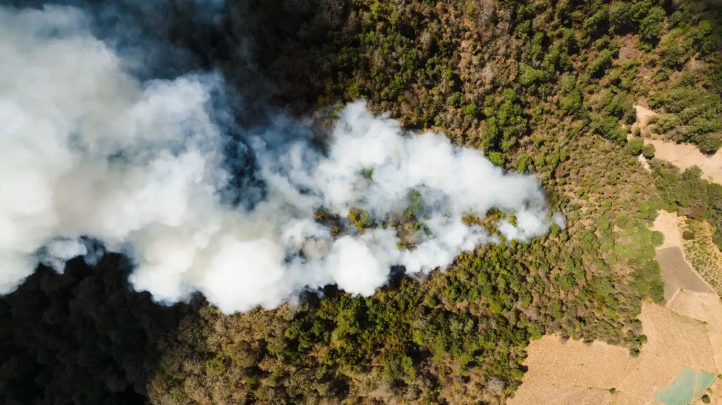 比利時近代最大野火未受控東部村落緊急疏散