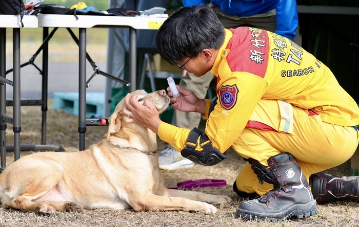 竹市搜救犬在MRT測驗情形。（圖/新竹市消防局提供）